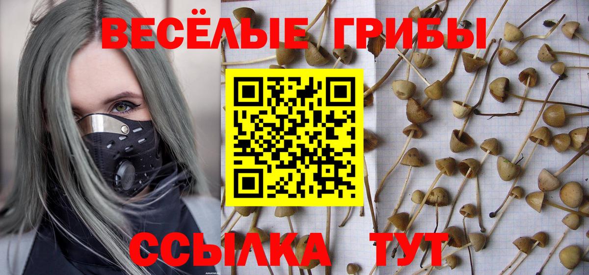 Псилоцибиновые грибы мухоморы Янаул